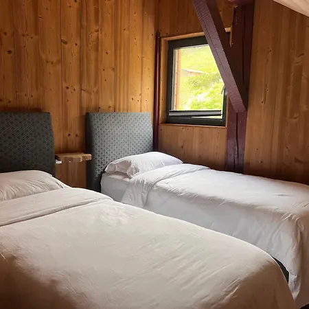 Grand Cerf - Vue Panoramique La Bresse-gerardmer *