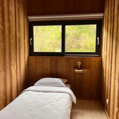 Grand Cerf - Vue Panoramique La Bresse-gerardmer Apartman La Bresse