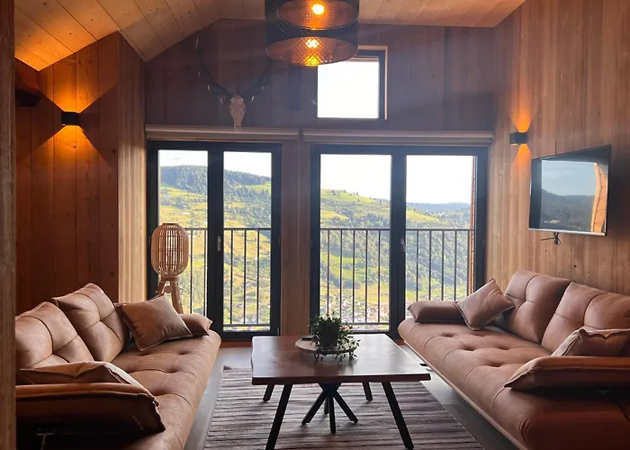 Grand Cerf - Vue Panoramique La Bresse-gerardmer